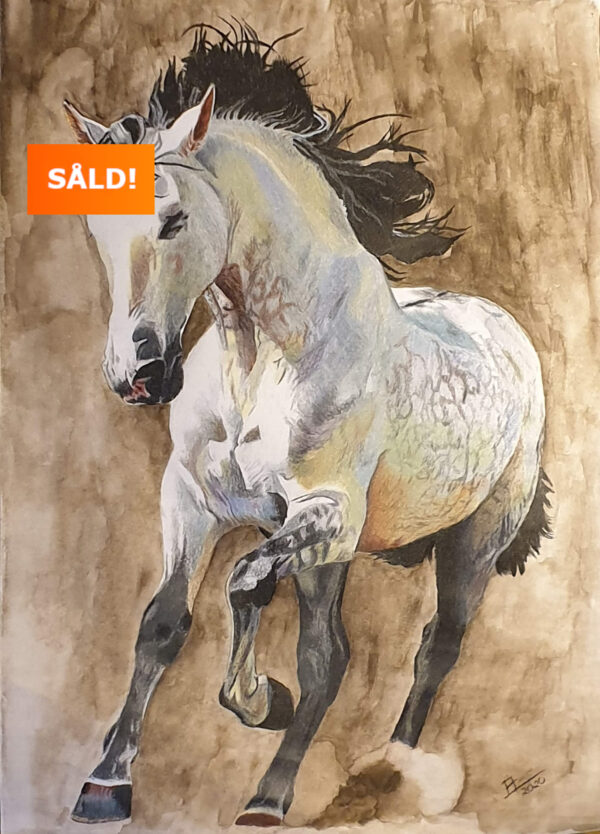 Galopperande häst